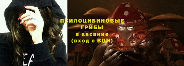 круглые Алзамай